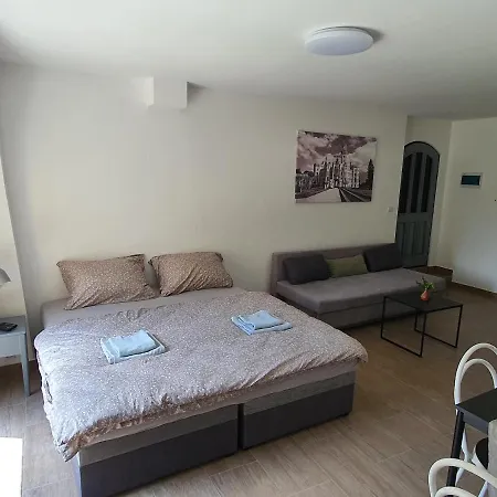 Cerny Kohout Černá v Pošumaví