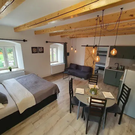 černý Kohout Aparthotel