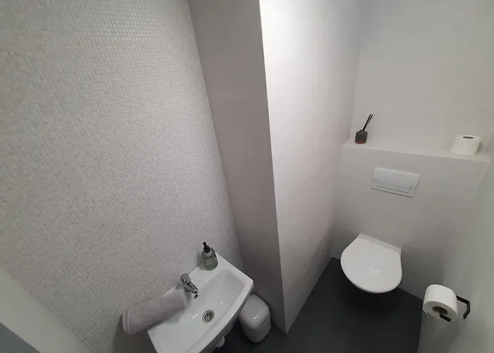 Cerny Kohout Černá v Pošumaví