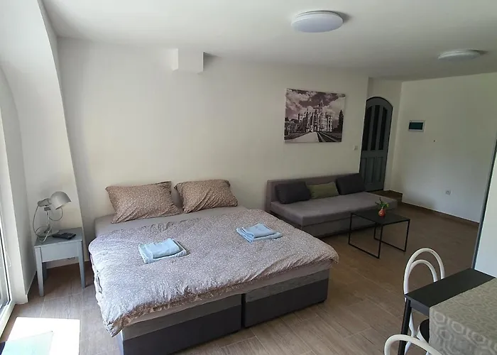 Cerny Kohout Černá v Pošumaví