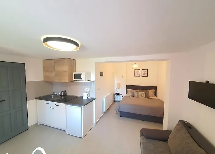 Aparthotel Cerny Kohout