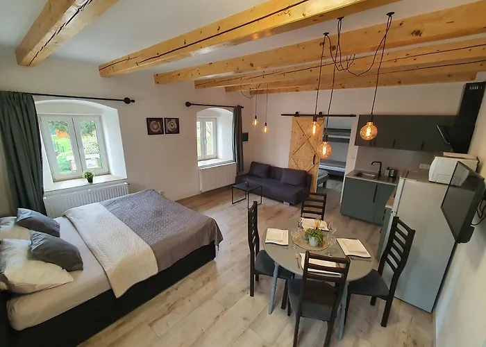 Cerny Kohout Aparthotel