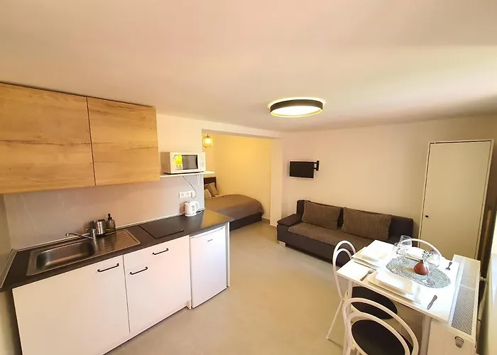 Cerny Kohout 3*