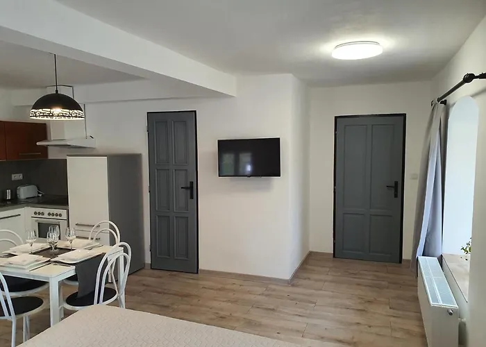 Cerny Kohout Aparthotel 3*
